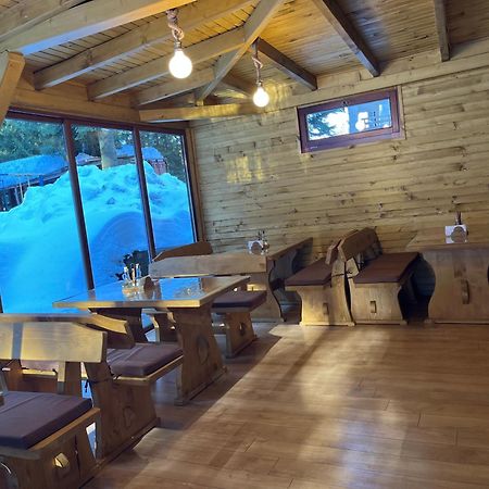 Villa Ibar Borovec Exteriér fotografie