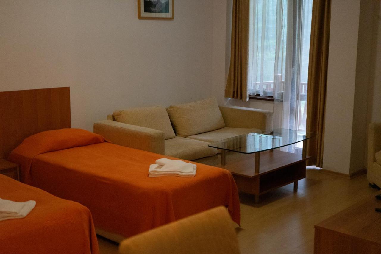 Villa Ibar Borovec Exteriér fotografie