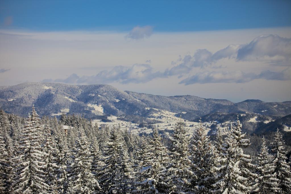 Villa Ibar Borovec Exteriér fotografie